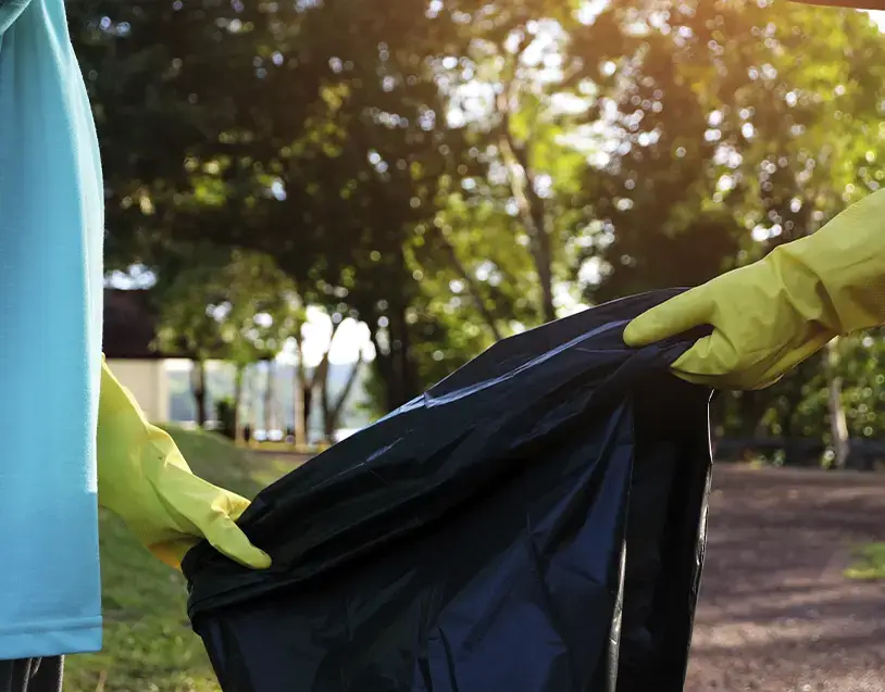 foto Sustentabilidade