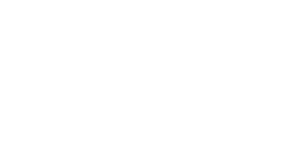 logo ws